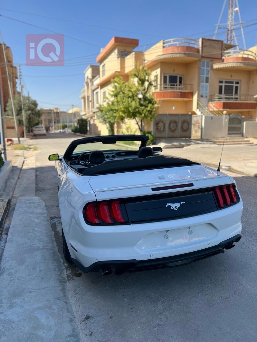 فورد موستانج